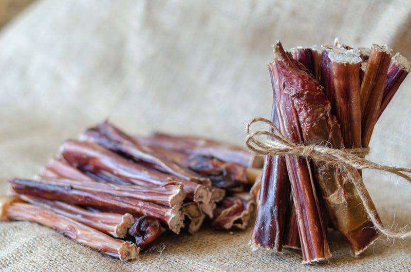 What are Bully Sticks made From? The Facts, Myths, and Nutrition